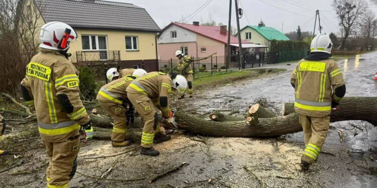 Silny wiatr w regionie. Strażacy usuwają skutki działania żywiołu 1 EAttachments9438135986732c766ac87e74f4aaf3464f54eb0 xl