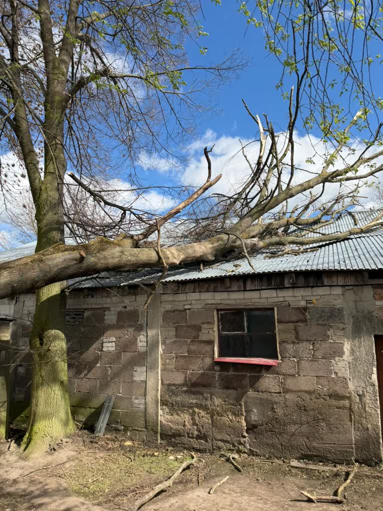 Silny wiatr w regionie. Strażacy usuwają skutki działania żywiołu 2 663266103_1274700038182328_8341090243497662721_n.jpg