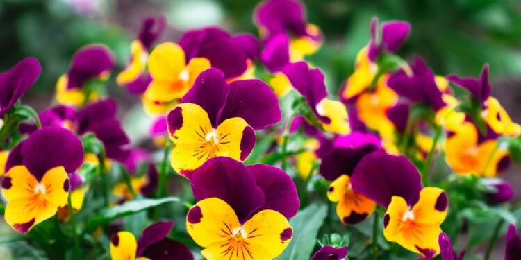 EAttachments94387602c3a0abfb6bddf443bd9f69484aebeca xl