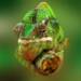 EAttachments9440562d021edbda2505d7483782ee83e825702 xl
