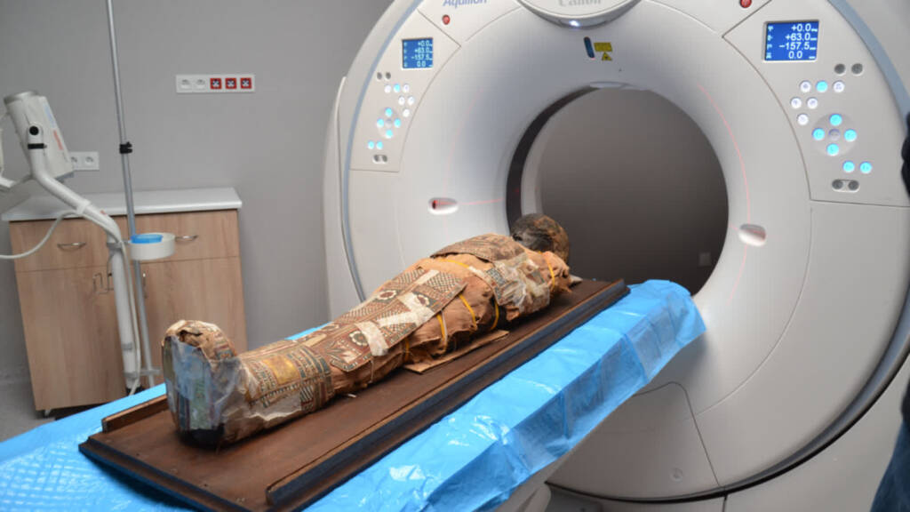 EAttachments94411066fecd8d8deb679b6f0d80116f59dabbc xl