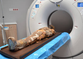 EAttachments94411066fecd8d8deb679b6f0d80116f59dabbc xl