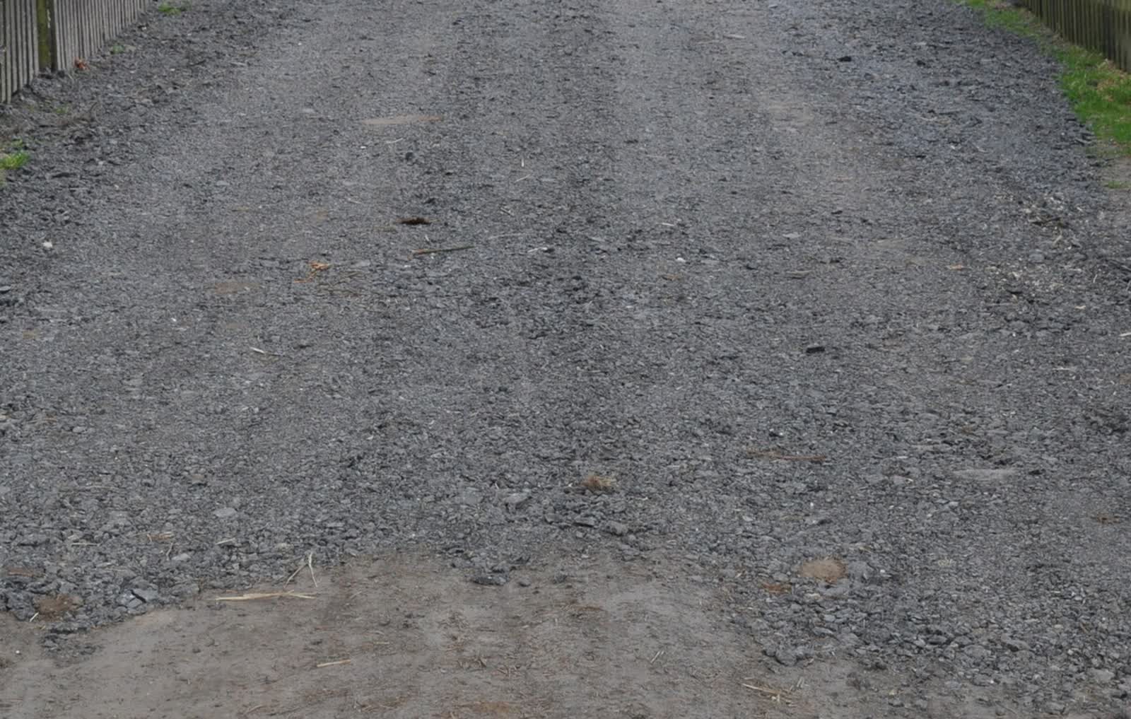 „Zaradny” 35-latek odpowie za kradzież. Przykre skutki taniego remontu 2 357-288181.jpg