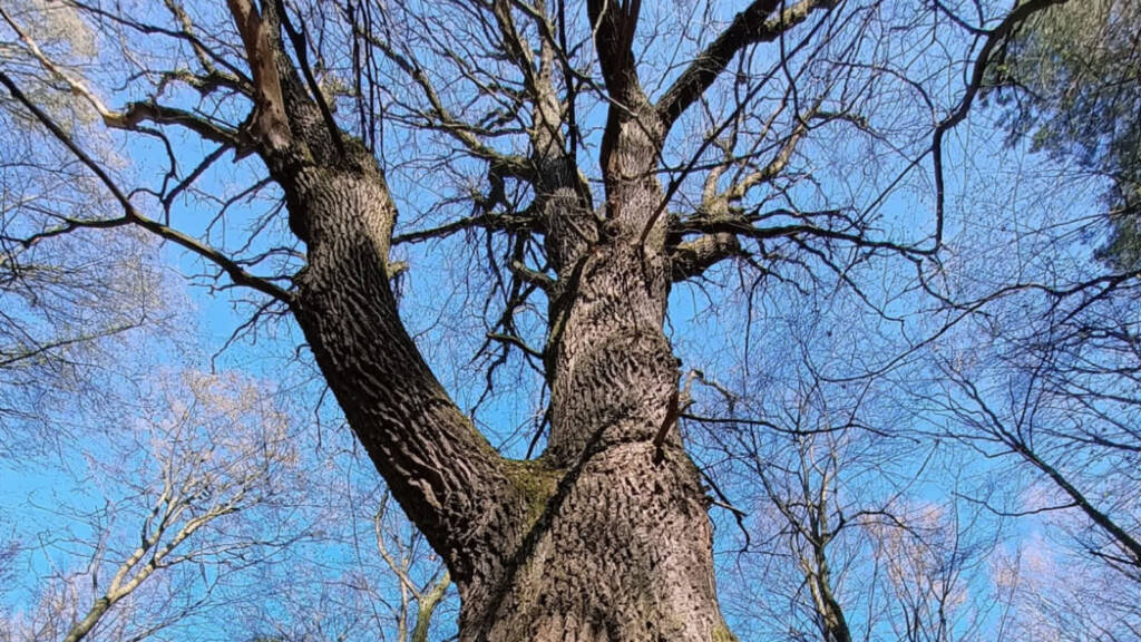 Cztery nowe rezerwaty przyrody w Lubelskiem 1 EAttachments9441437d2bc73d71a234d99b28c306a25ac74d1 xl