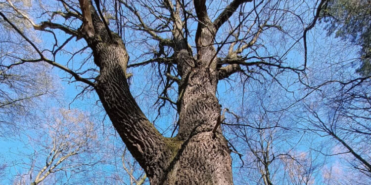 EAttachments9441437d2bc73d71a234d99b28c306a25ac74d1 xl