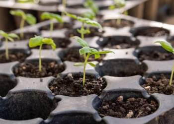 EAttachments944217753552dcc66aa2d7cbd5bfe12a1c45959 xl 1024x682 1