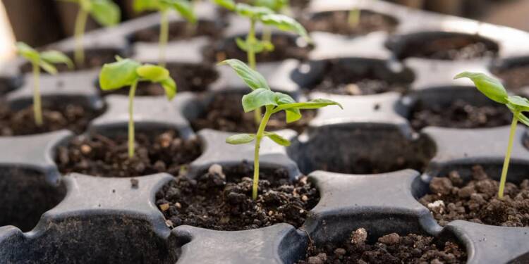 EAttachments944217753552dcc66aa2d7cbd5bfe12a1c45959 xl