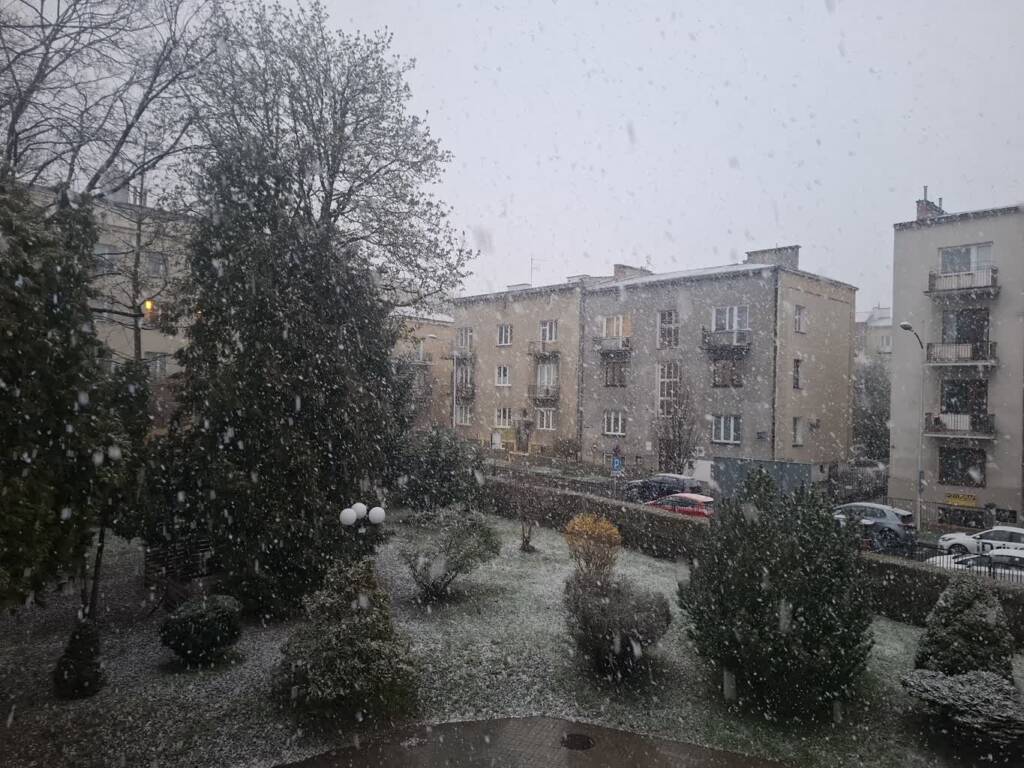 Przymrozki w całej Polsce. Alerty przed oblodzeniem na wschodzie 1 EAttachments94422851df75213f866f1ac4c446b72a1558622 xl