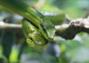 EAttachments94428983dec2f27d6817fe0e58d20d64eb6ec8f xl