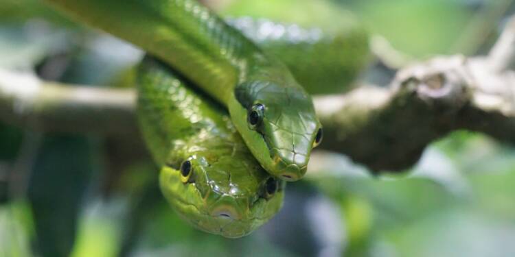 EAttachments94428983dec2f27d6817fe0e58d20d64eb6ec8f xl