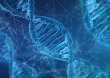 EAttachments9442909cae5675a628906826cf31b275ea454d8 xl