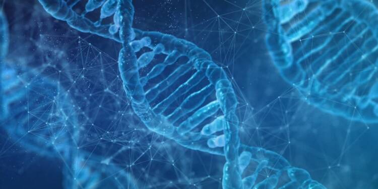 EAttachments9442909cae5675a628906826cf31b275ea454d8 xl