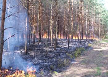 EAttachments94433027393d686c4a5c2020e6e8b7a06b80a0c 1024x683 1