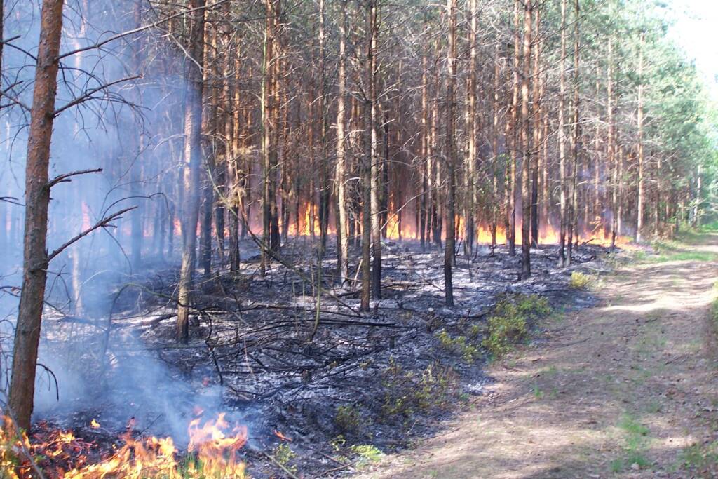 EAttachments94433027393d686c4a5c2020e6e8b7a06b80a0c