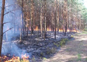 EAttachments94433027393d686c4a5c2020e6e8b7a06b80a0c