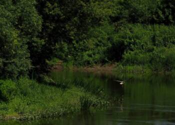 EAttachments944427305f7dc9f012cb4296e8929614661c125 xl 1024x765 1