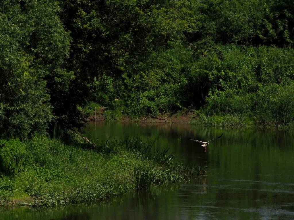 Ochrona nadbużańskiej natury. Powstaną nowe rezerwaty 1 EAttachments944427305f7dc9f012cb4296e8929614661c125 xl