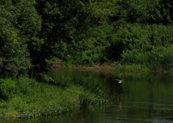 EAttachments944427305f7dc9f012cb4296e8929614661c125 xl