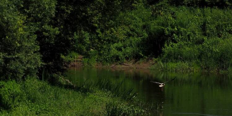 Ochrona nadbużańskiej natury. Powstaną nowe rezerwaty 1 EAttachments944427305f7dc9f012cb4296e8929614661c125 xl