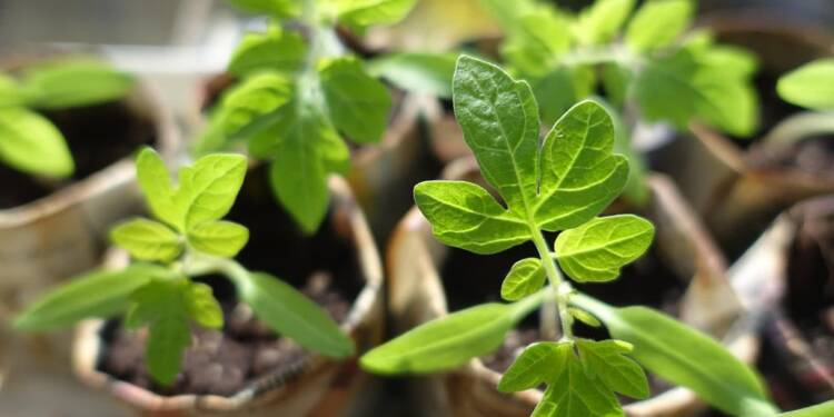 EAttachments9444641256f449b9ac1deb2ce2a22fffab235da xl