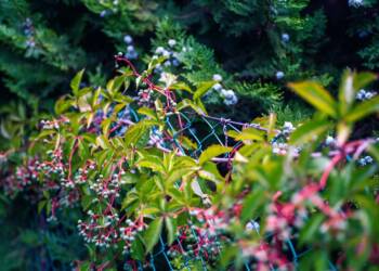 EAttachments94448949dd64677d624d77e6df9042ef8ab4030 xl