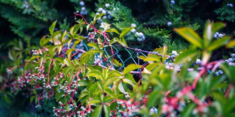 EAttachments94448949dd64677d624d77e6df9042ef8ab4030 xl