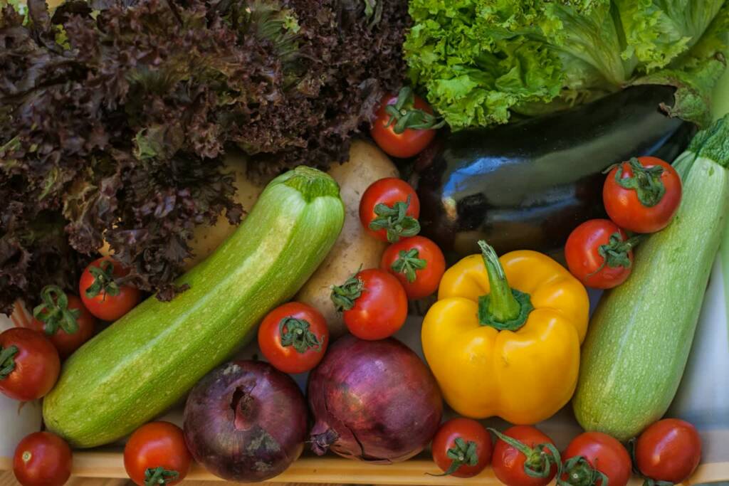 11.04.2026 Poradnik działkowca - ekologiczne owoce i warzywa 1 EAttachments944496092a83168e1ac136ebeb8398ea85f3516 xl