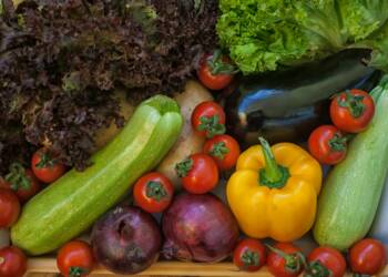 EAttachments944496092a83168e1ac136ebeb8398ea85f3516 xl