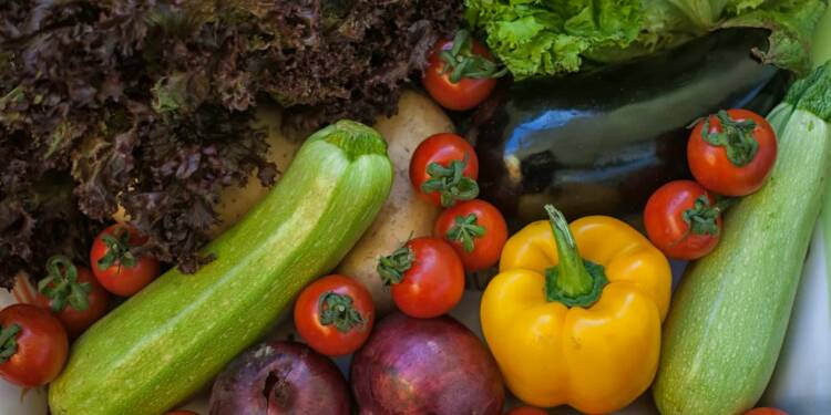 EAttachments944496092a83168e1ac136ebeb8398ea85f3516 xl