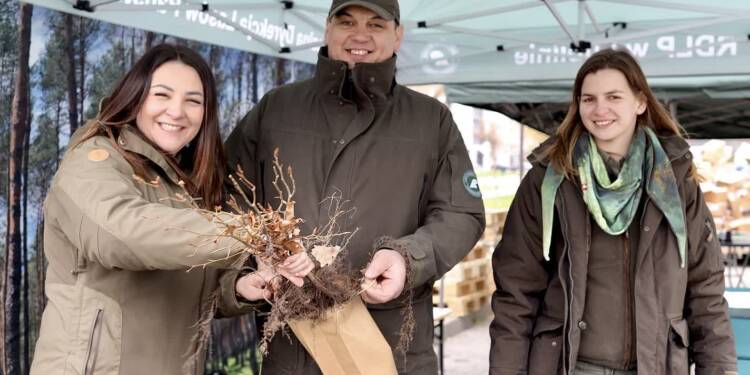 EAttachments9446078b07b79684e8264f7f465475f5efae033 xl