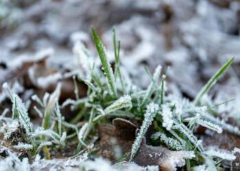 EAttachments9446905ad4b31f12c71c02280367f8e48b2b6a7 xl 1024x683 1