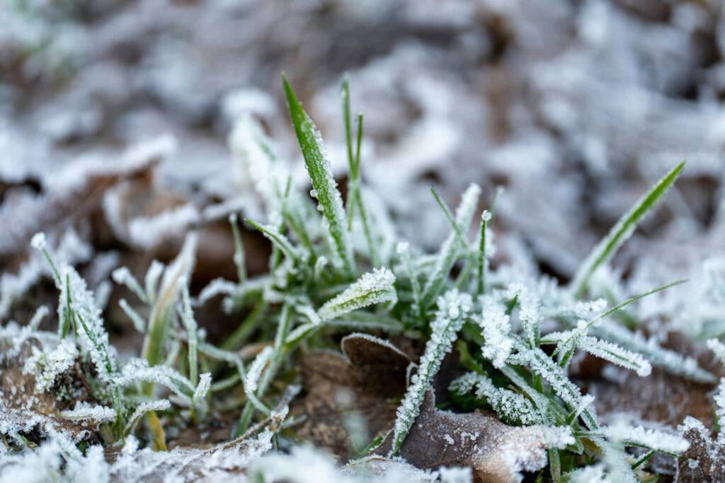 EAttachments9446905ad4b31f12c71c02280367f8e48b2b6a7 xl