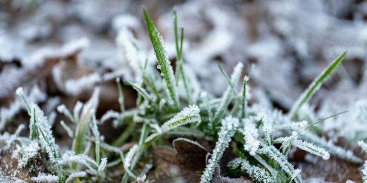 EAttachments9446905ad4b31f12c71c02280367f8e48b2b6a7 xl