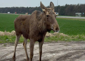 EAttachments9446907571ffa58ccad09097839692dc657990b xl