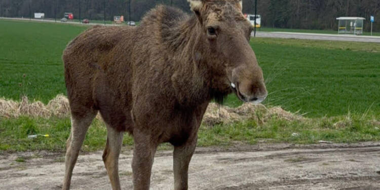 EAttachments9446907571ffa58ccad09097839692dc657990b xl