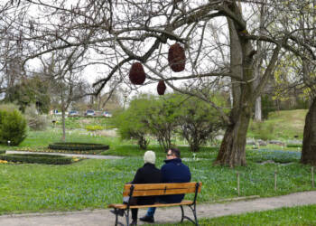 Ogród Botaniczny w Lublinie znów otwarty 2 EAttachments94470482759eb4369700eae432c1b400bebd6e1 xl