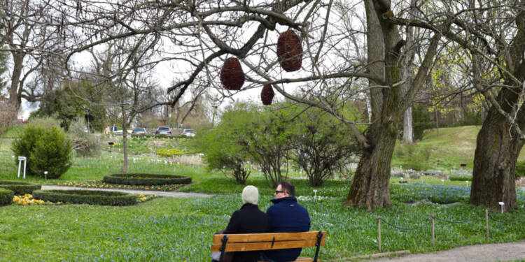 EAttachments94470482759eb4369700eae432c1b400bebd6e1 xl