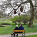 Ogród Botaniczny w Lublinie znów otwarty 10 EAttachments94470482759eb4369700eae432c1b400bebd6e1 xl