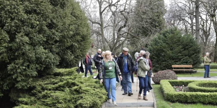 EAttachments94470483993e24f0855541dfdec44b215a0b172 xl 1