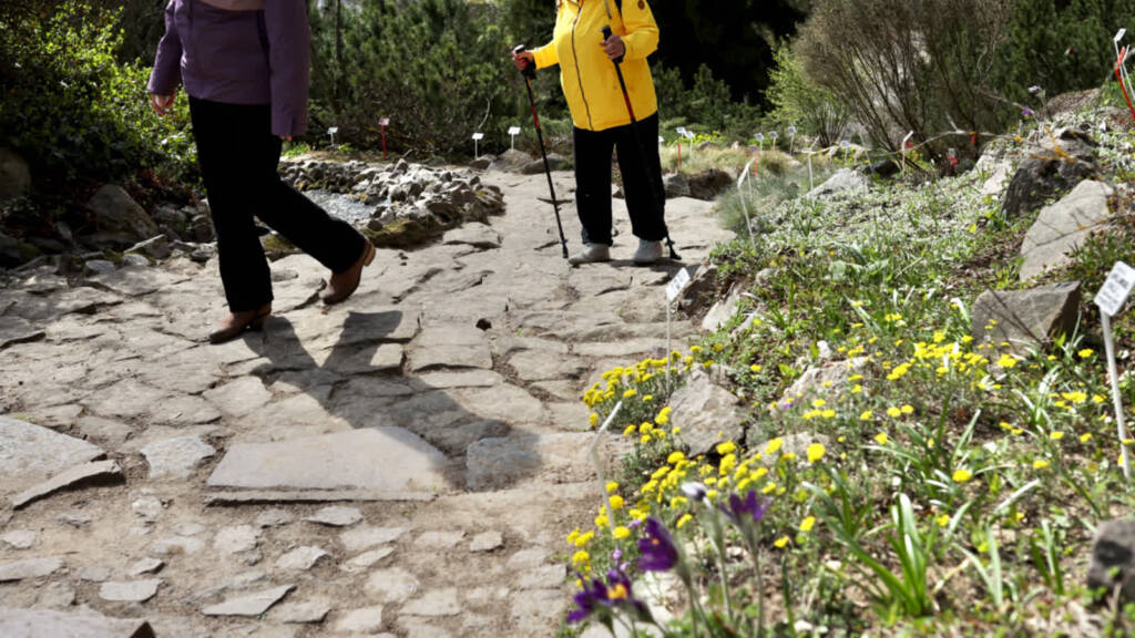 EAttachments9447048abe93060e56c8c92d23a0e66a9e1f9a0 xl