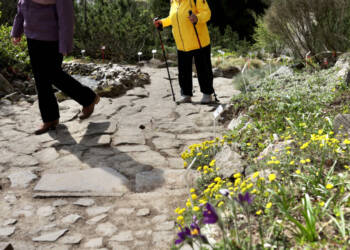 EAttachments9447048abe93060e56c8c92d23a0e66a9e1f9a0 xl