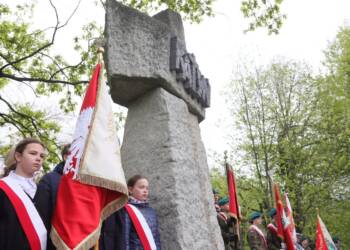 EAttachments9447648b2a768bbe056472e644224f3a74b1bbd xl