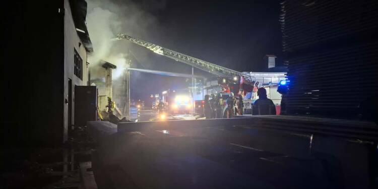 EAttachments9447938478c227eb17689a019c9cbee4ca726f4 xl