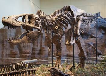 EAttachments94480679472bb22296ad94cf38261303cf87f50 xl