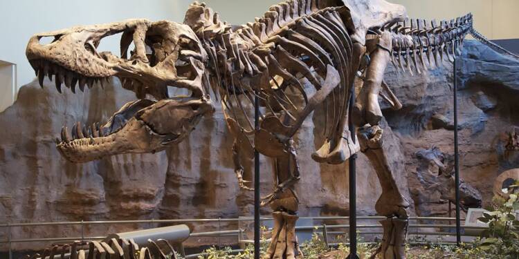 EAttachments94480679472bb22296ad94cf38261303cf87f50 xl