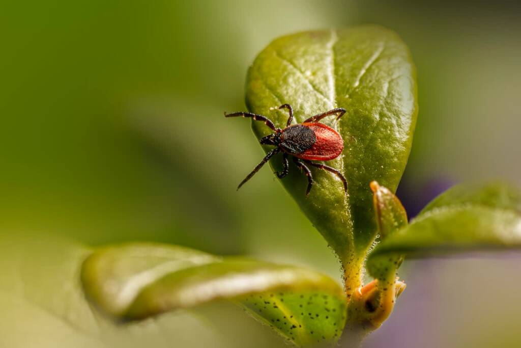 EAttachments94501864c46b421a2c5ea5444ec679774bb7e11 xl