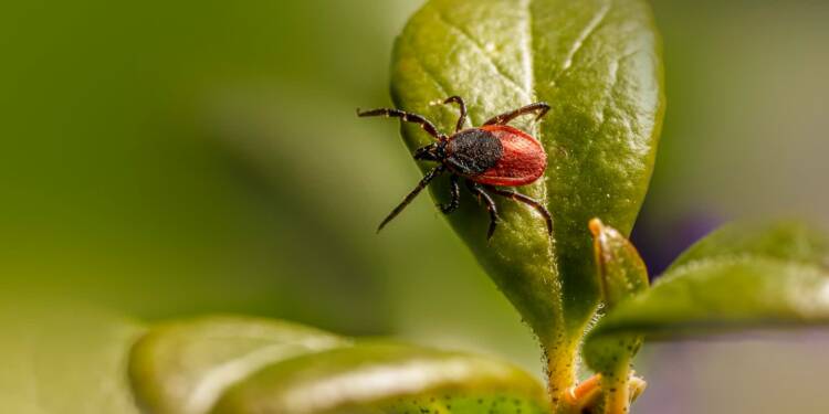 EAttachments94501864c46b421a2c5ea5444ec679774bb7e11 xl