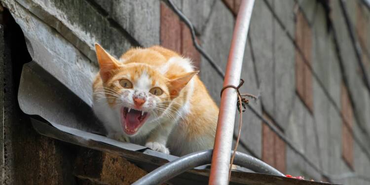 EAttachments94508278c5e2a7eca66c0db871a3022c7f95a8b xl