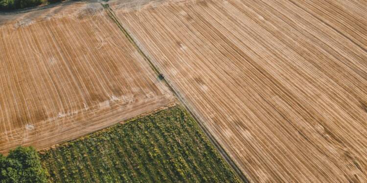 EAttachments945114277798f41a84631b0a8d5fd00c7e4aab9 xl