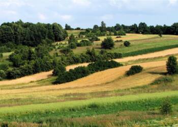 EAttachments9451351a6a3ef6d214b19e3830a7429abca23d5 xl